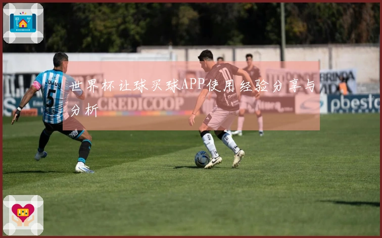 世界杯让球买球APP使用经验分享与分析